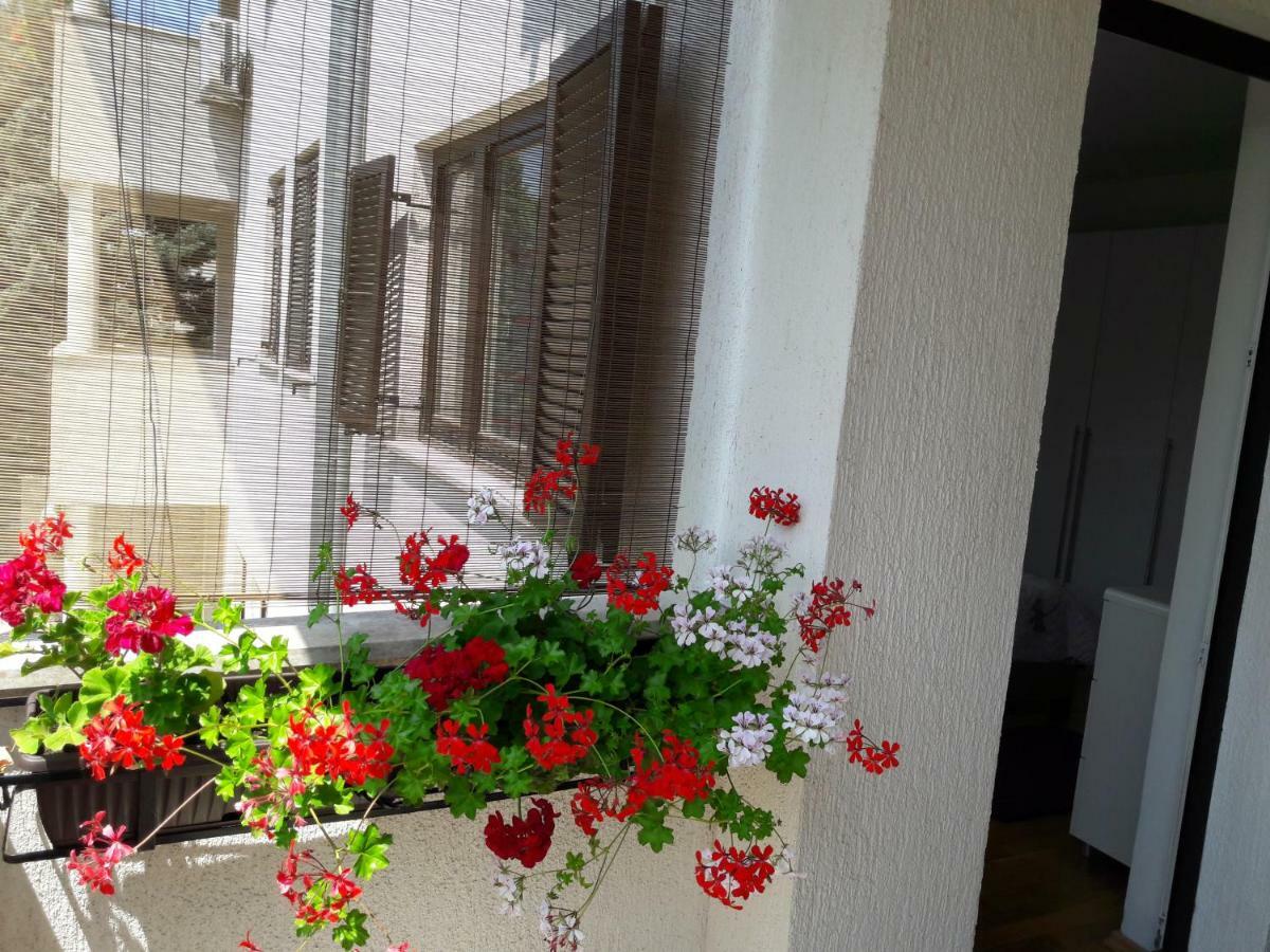 Apartments Ruzica Pula Zewnętrze zdjęcie